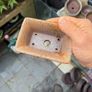 bonsai pot Image 3