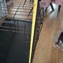 dog kennel Image 2