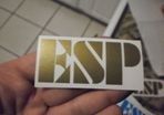 eps guitar decal