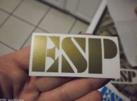 main image for ad eps guitar decal