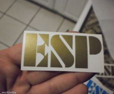 eps guitar decal