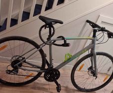Trek FX2 Hybrid 20'/55cm