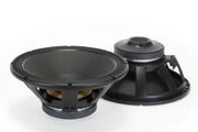 Rcf Evox 15 inch Sub Driver woofer replacement LF15S307