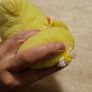 Small Yellow Fluffy Duck Image 2