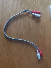 Short (1 foot) 2 x RCA audio cable
