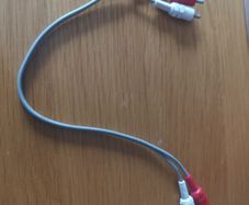 Short (1 foot) 2 x RCA audio cable