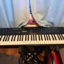 Yamaha DX11 Programmable Algorithm Synthesizer 1988 - Black Image 5