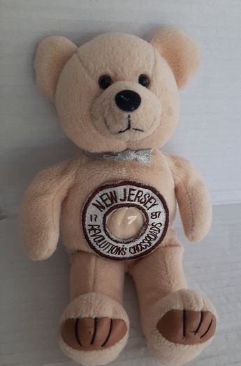New Jersey teddy