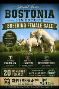 Bostonia Livestock Breeding Females
