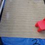 Carpets for Dog Image 2