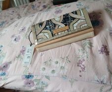 River Island purse