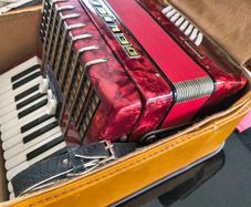 Delicia Junior II Piano Accordion