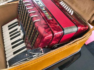Delicia Junior II Piano Accordion
