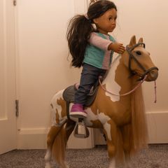 Our Generation Horse
