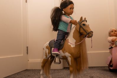 Our Generation Horse