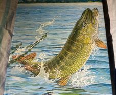 fishing book Pike The Predator Becomes the Prey