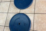 25kg X 2 = 50kg Metal Lifetime Weightlifting Plate, 1 Inch Standard, Common Type!