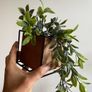artificial plant and pot x3 Image 3