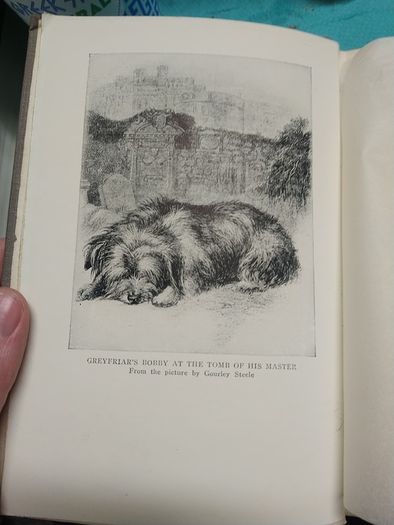 The Book of Noble Dogs - Estelle Ross