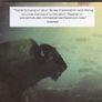 The Phoenix Foundation - Buffalo - CD Album Image 3