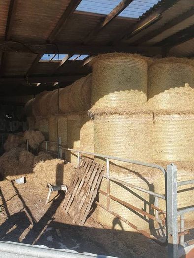 Organic hay for sale