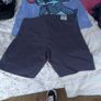 shorts Image 4
