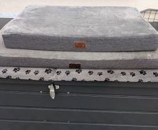 Dog Beds & Mat