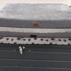 Dog Beds & Mat