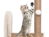 Cat Tree with Arch Grooming Brush and Scratch Post