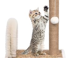 Cat Tree with Arch Grooming Brush and Scratch Post