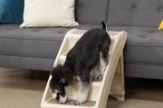 Foldable Four-Step Pet Stairs, for Cats, Small Miniature Dogs, with Non-Slip Mats 62 x 38 x 49.5cm Beige