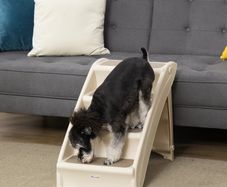 Foldable Four-Step Pet Stairs, for Cats, Small Miniature Dogs, with Non-Slip Mats 62 x 38 x 49.5cm Beige