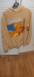 boys pokemon hoody