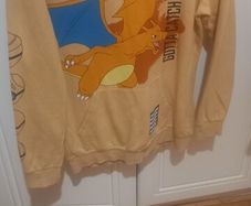 boys pokemon hoody