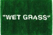 IKEA off white rug Wet grass