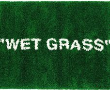 IKEA off white rug Wet grass