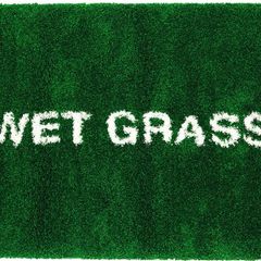IKEA off white rug Wet grass