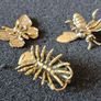 3 brass Insects, Solid brass. Image 2