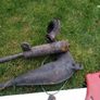 80"s Honda cr 80 , read the description Image 10
