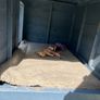 Dog Kennel Image 4