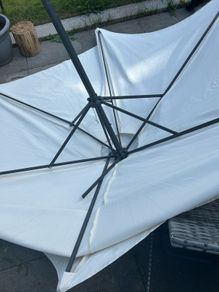 parasol umbrella