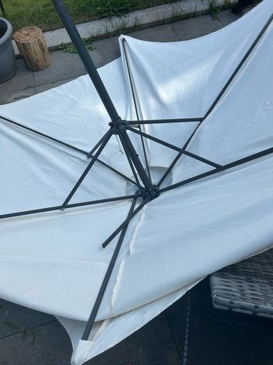 parasol umbrella