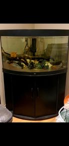 fish tank
