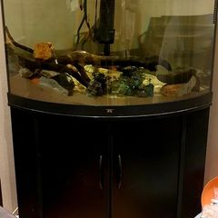 fish tank