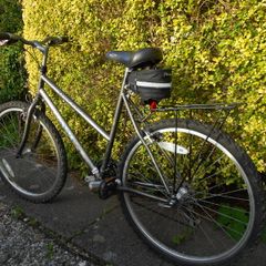 Ladies Bike