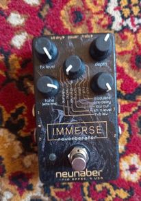 Neunaber Immerse MK1 - rare and not being made anymore
