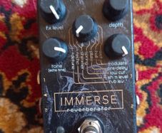 Neunaber Immerse MK1 - rare and not being made anymore