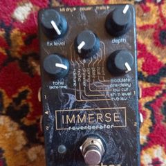 Neunaber Immerse MK1 - rare and not being made anymore
