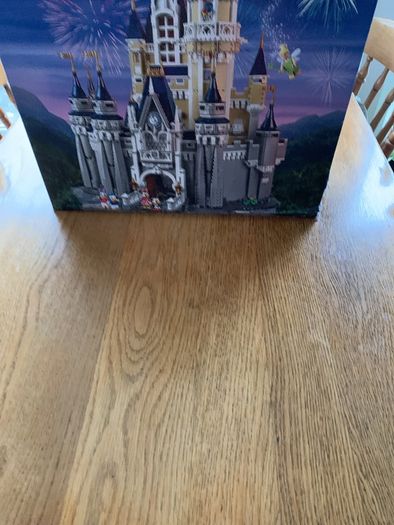 Disney Castle