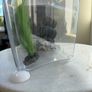 6.7 litre fish tank, filter, heater & accessories Image 3